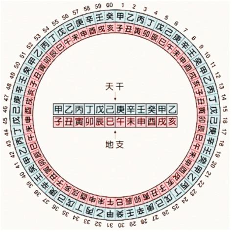 天干 地支 對照 表|天干地支